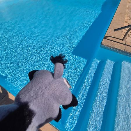 Havre De Paix Appart Climatise,Piscine,Wifi Ле Баркарес Экстерьер фото